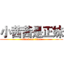 小茜茜是正妹 (attack on titan)
