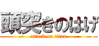 頭突きのはげ (attack on titan)