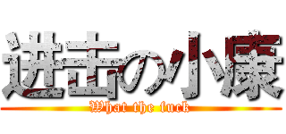 进击の小康 (What the fuck)