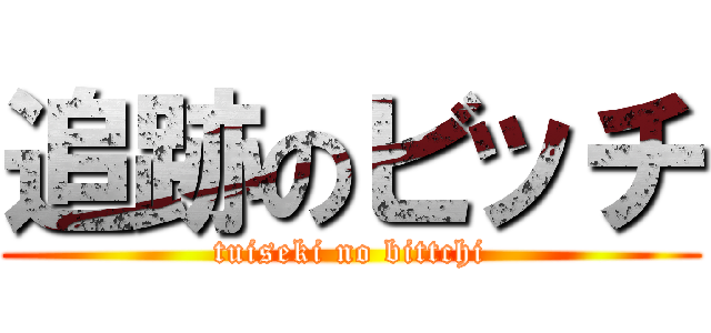 追跡のビッチ (tuiseki no bittchi)