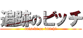 追跡のビッチ (tuiseki no bittchi)