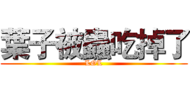 葉子被蟲吃掉了 (LOL)