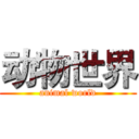 动物世界 (animal world)