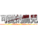 可愛的鳥兒 (attack on titan)