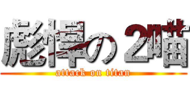 彪悍の２喵 (attack on titan)
