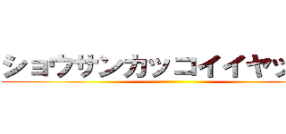 ショウサンカッコイイヤッター ()