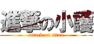 進撃の小護 (attack on titan)
