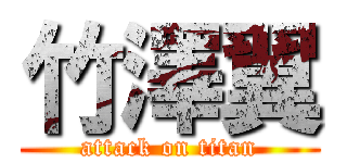 竹澤翼 (attack on titan)