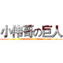 小伟哥の巨人 (attack on titan)
