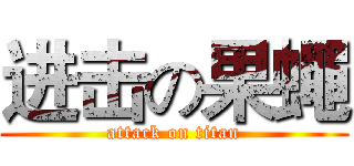 进击の果蠅 (attack on titan)