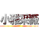 小雅采薇 (薇次元)