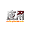 应用 (Application)