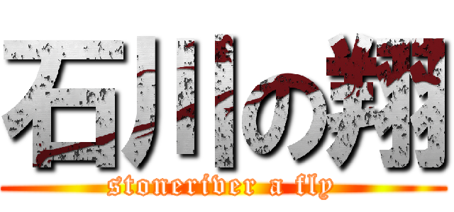 石川の翔 (stoneriver a fly)