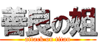 善良の姐 (attack on titan)