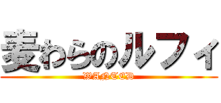 麦わらのルフィ (WANTED)