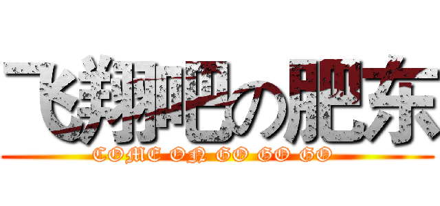 飞翔吧の肥东 (COME ON GO GO GO )