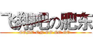 飞翔吧の肥东 (COME ON GO GO GO )