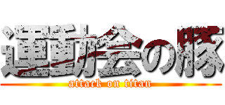 運動会の豚 (attack on titan)