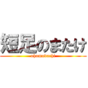 短足のまたけ (ohomodachi)