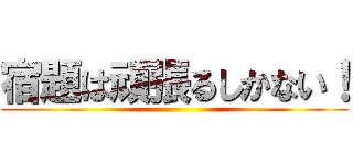 宿題は頑張るしかない！ ()