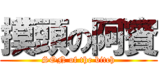 摸頭の阿賓 (SON of the bitch)