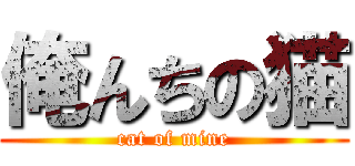 俺んちの猫 (cat of mine)