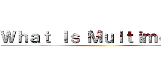 Ｗｈａｔ Ｉｓ Ｍｕｌｔｉｍｅｄｉａ ()