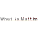 Ｗｈａｔ Ｉｓ Ｍｕｌｔｉｍｅｄｉａ ()