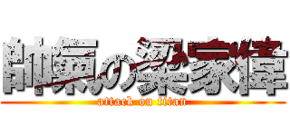 帥氣の梁家偉 (attack on titan)