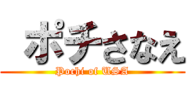  ポチさなえ (Pochi of USA)