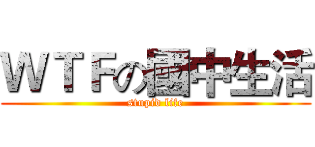 ＷＴＦの國中生活 (stupid life)