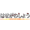 はせがわしょう (ichikawaPONY)