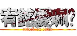 宥銘愛珮汶 (attack on titan)