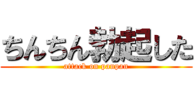 ちんちん勃起した (attack on panpan)