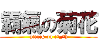 霸氣の菊花 (attack on (°_°))