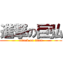 進撃の巨弘 (attack on titan)