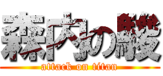 森内の駿 (attack on titan)