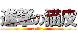 進撃の猫皮 (移防去巡視邊境)