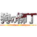 狗の柳丁 (attack on orange)