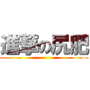 進撃の尻肥 ()