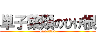 単子葉類のひげ根 (leaf fever)