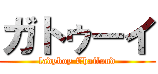 ガトゥーイ (ladyboy Thailand)