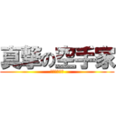 真撃の空手家 (つつみりおん)