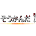 そうかんだ！ (so  kannda)