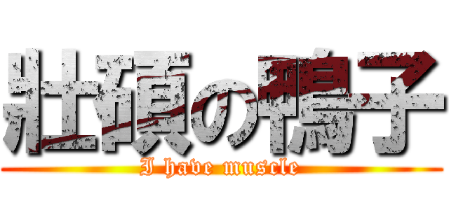 壯碩の鴨子 (I have muscle)