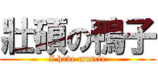 壯碩の鴨子 (I have muscle)