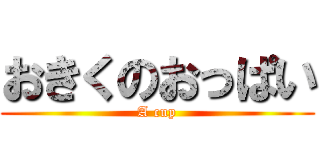 おきくのおっぱい (A cup)