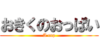 おきくのおっぱい (A cup)