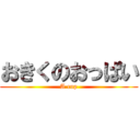 おきくのおっぱい (A cup)