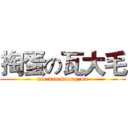 掏蛋の瓦大毛 (tao-dan-kuang-mo)